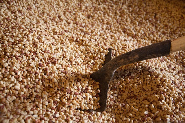 A close-up of a hoeDescription automatically generated