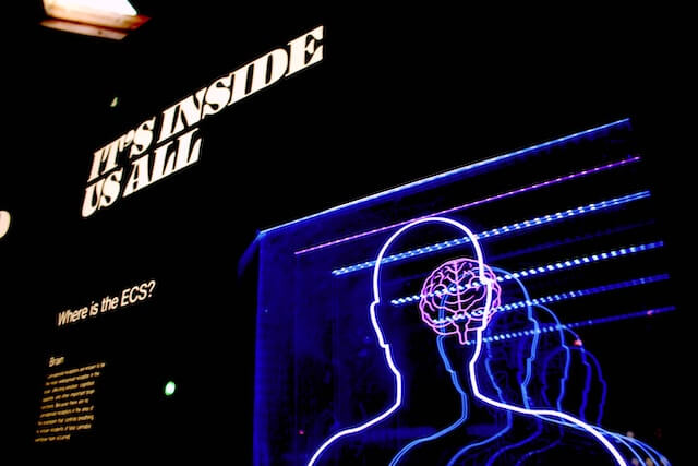A neon sign with a human brainDescription automatically generated