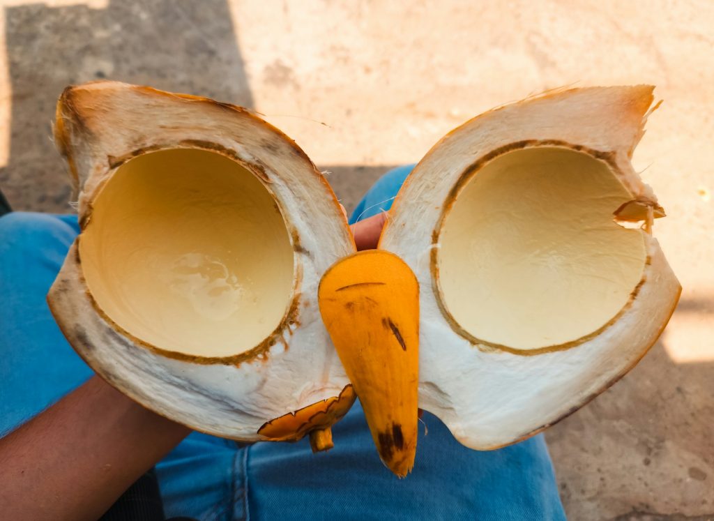 coconut shell powder