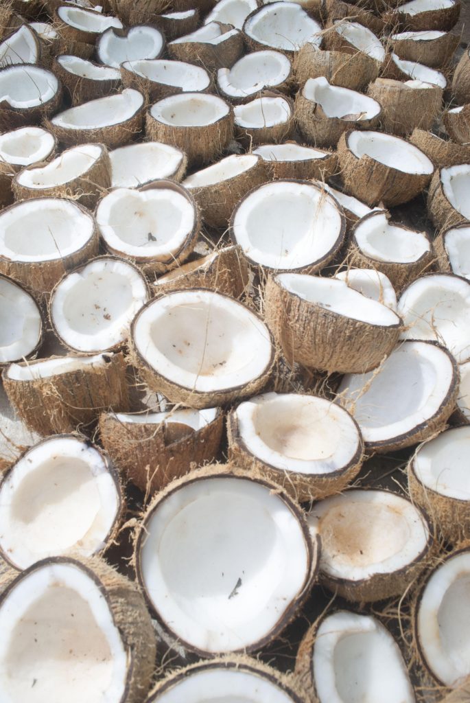 desiccated coconut supplier Indonesia - fine medium coarse grade